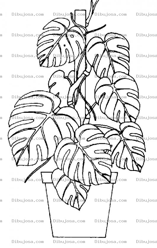 Dibujo para colorear Dibujo De Planta En Una Maseta Para Pintar Y Colorear