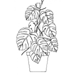 Dibujo para colorear Dibujo De Planta En Una Maseta Para Pintar Y Colorear