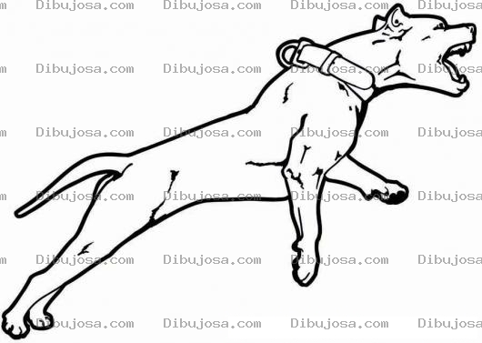 Dibujo para colorear Dibujo De Pitbull Bravo Para Pintar Y Colorear