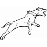 Dibujo para colorear Dibujo De Pitbull Bravo Para Pintar Y Colorear