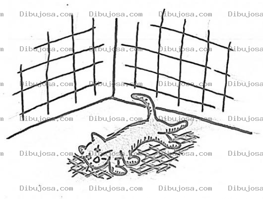 Dibujo para colorear Dibujo De Gato Muerto Para Pintar Y Colorear