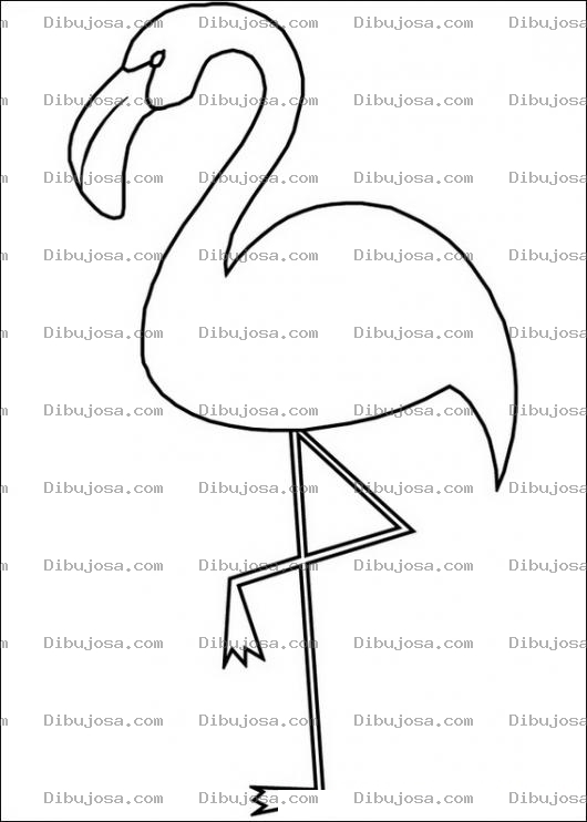 Dibujo para colorear Flamingo para pintar