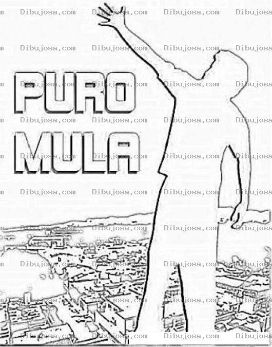 Dibujo para colorear Puro Mula Pelicula Completa Dibujo Para Pintar Y Colorear La Portada De Una De Las Mejores Peliculas Producidas En Guatemala Puromula Online