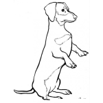 Dibujo para colorear Dibujo De Perro Parado En Dos Patas Para Pintar Y Colorear