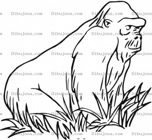 Dibujo para colorear Simio En El Monte Para Pintar Y Colorear Orangutan Sobre La Grama