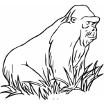 Dibujo para colorear Simio En El Monte Para Pintar Y Colorear Orangutan Sobre La Grama