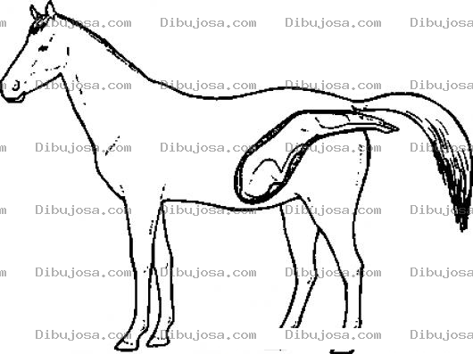 Dibujo para colorear Parto De Yegua Para Pintar Y Colorear
