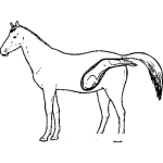 Dibujo para colorear Parto De Yegua Para Pintar Y Colorear