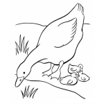 Dibujo para colorear Mama Pata Bebiendo Agua De Un Estanque Frente A Sus Patitos Para Pintar Y Colorear