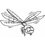 Dibujo para colorear Dibujo De Libelula Para Pintar Y Colorear