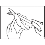 Dibujo para colorear Camaron Jumbo Pelado Para Pintar Y Colorear Dibujo De Camaron Grande