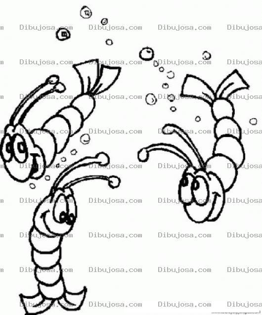 Dibujo para colorear Camarones Frescos Dibujo De Camarones Vivos En El Mar Para Pintar Y Colorear