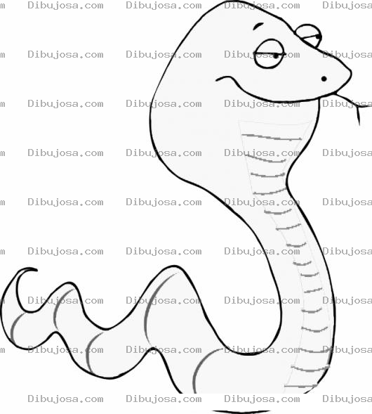 Dibujo para colorear Dibujo De Serpiente Cabezona Para Pintar Y Colorear