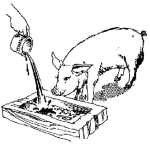 Dibujo para colorear Dibujo De Cerdo Comiendo Para Pintar Y Colorear