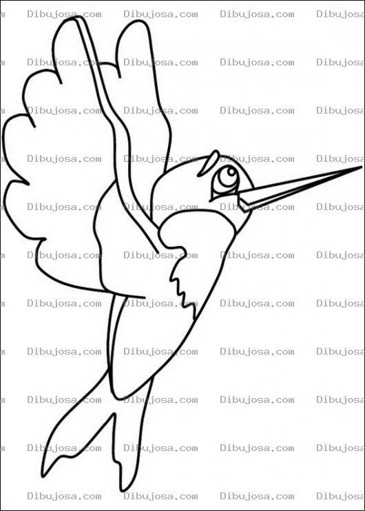 Dibujo para colorear Colibri Infantil