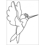 Dibujo para colorear Colibri Infantil