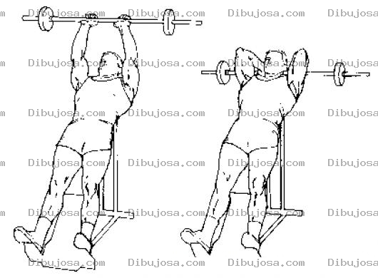 Dibujo para colorear Ejercicios De Tricep Para Pintar Y Colorear