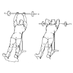 Dibujo para colorear Ejercicios De Tricep Para Pintar Y Colorear
