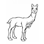 Dibujo para colorear Dibujo D Euna Llama Peruana Para Pintar Y Colorear Yama De Peru