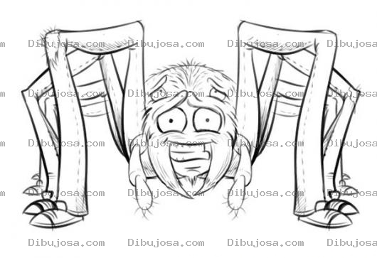 Dibujo para colorear Dibujo De Arana Con Zapatos Para Colorear