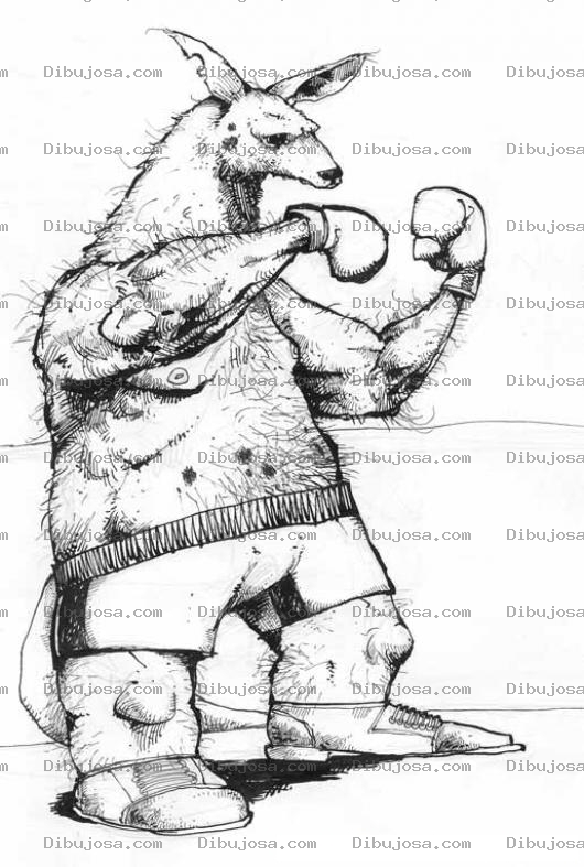 Dibujo para colorear Colorear Canguro Boxeador