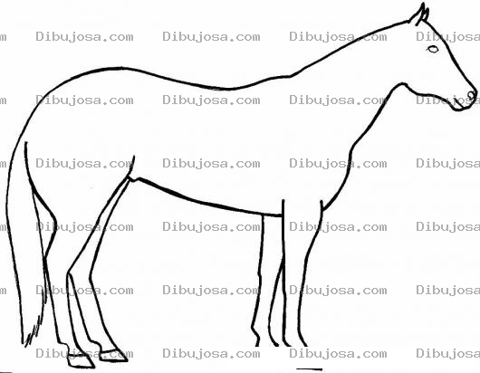 Dibujo para colorear Dibujo De Caballo De Orejas Cortas Para Pintar Y Colorear