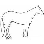 Dibujo para colorear Dibujo De Caballo De Orejas Cortas Para Pintar Y Colorear