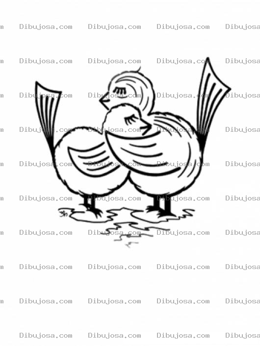 Dibujo para colorear Dibujo De Pajaritos Abrazados Para Pintar Y Colorear Abrazo De Pajaros