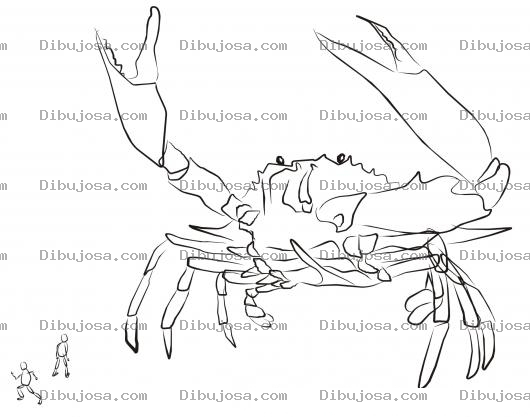 Dibujo para colorear Jaiba Gigante Para Colorear