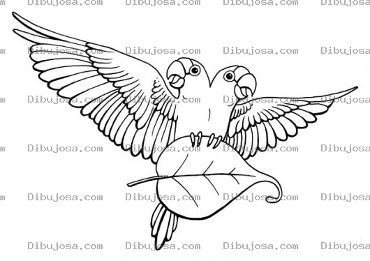 Dibujo para colorear Loro Siames Dibujo De Perico De Dos Cabezas Para Pintar Y Colorear