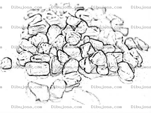 Dibujo para colorear Semillas De Fenogreco Para Pintar Y Colorear Fenogreco Bueno Para Llenar Bustos De Lactancia Materna