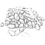 Dibujo para colorear Semillas De Fenogreco Para Pintar Y Colorear Fenogreco Bueno Para Llenar Bustos De Lactancia Materna