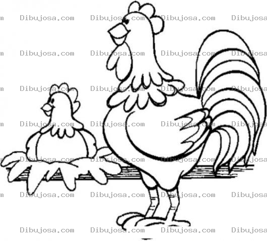 Dibujo para colorear Colorear Gallo Y Gallina