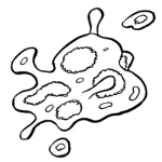 Dibujo para colorear Colorear Bacteria