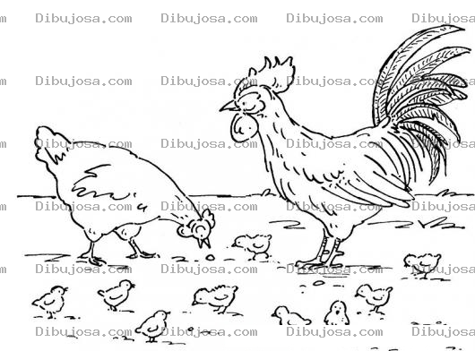 Dibujo para colorear Gallo Gallina Y Pollitos Para Colorear