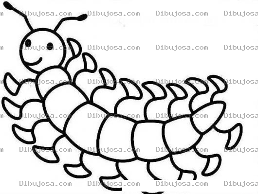 Dibujo para colorear 100pies Dibujo De 100pies Para Pintar Y Colorear Gusano De 100 Pies Bueno En Realida Son 18 Pies