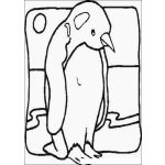 Dibujo para colorear Pinguino llevando sol