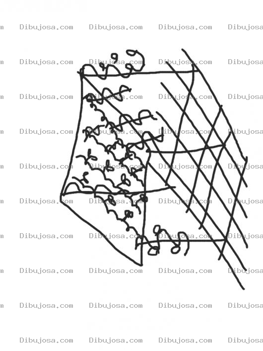 Dibujo para colorear Dibujo De Huerto De Tomates Con Pergola Para Colorear