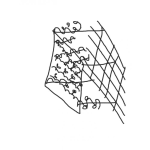 Dibujo para colorear Dibujo De Huerto De Tomates Con Pergola Para Colorear