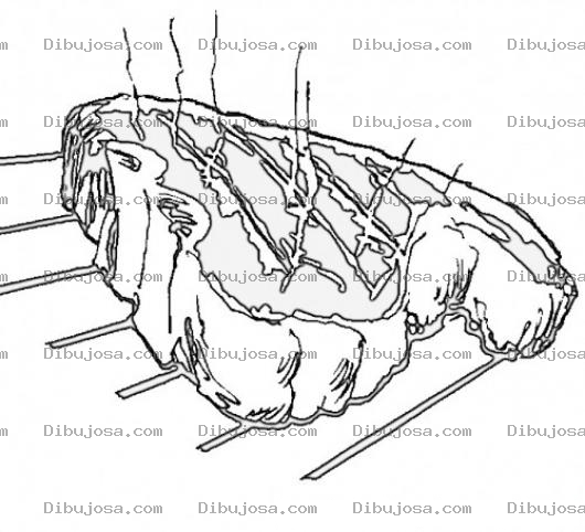 Dibujo para colorear Filete De Carne Asada Para Pintar Y Colorear Carne Azada A La Parrilla Dibujo De Un Asado Delicioso