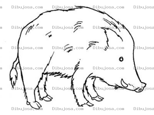 Dibujo para colorear Dibujo De Coche Monte Jabali Para Pintar Y Colorear