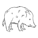 Dibujo para colorear Dibujo De Coche Monte Jabali Para Pintar Y Colorear
