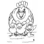 Dibujo para colorear La Gallina Con Sus Pollitos Para Pintar Y Colorear