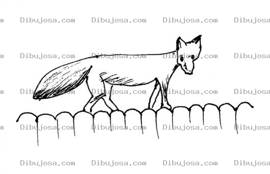 Dibujo para colorear Dibujo De Zorro Caminando Sobre Una Cerca Para Pintar Y Colorear