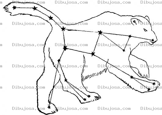 Dibujo para colorear Dibujo De La Osa Mayor En Las Estrellas Para Pintar Y Colorear