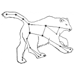 Dibujo para colorear Dibujo De La Osa Mayor En Las Estrellas Para Pintar Y Colorear