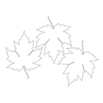 Dibujo para colorear Colorear Hojas De Canada