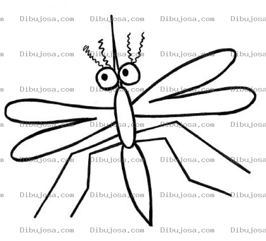 Dibujo para colorear Bigotes De Mosquito Dibujo De Mosquito Bigotudo Para Pintar Y Colorear