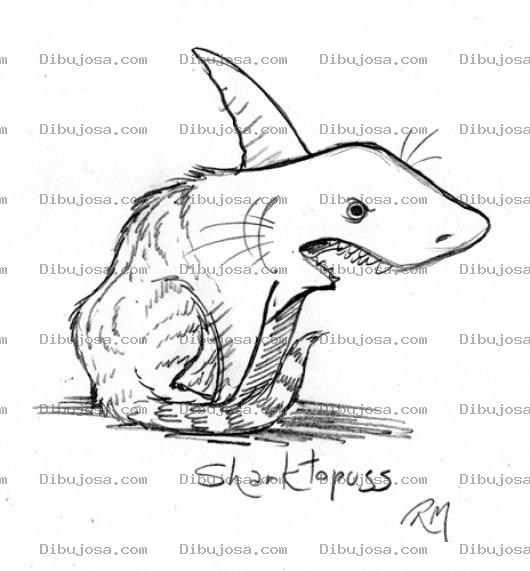 Dibujo para colorear Tiburongato Para Pintar Y Colorear Un Tiburon Con Cuerpo De Gato Para Pintar Y Colorear Tiburon Gato Tiburon