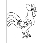 Dibujo para colorear Gallito Cantando